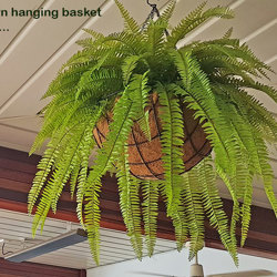 Hanging Baskets- Ferns (small) - artificial plants, flowers & trees - image 5