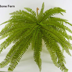 Fish-bone Ferns [large] - artificial plants, flowers & trees - image 3