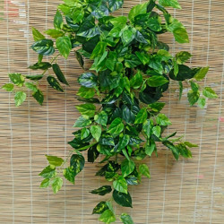 Trailing Bush- lge Philo - artificial plants, flowers & trees - image 2