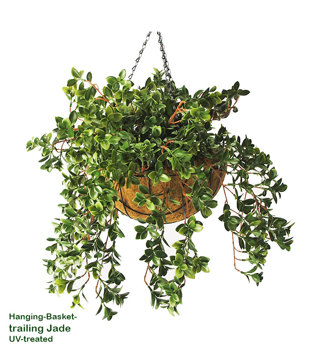 Hanging Baskets- Jade UV {small}