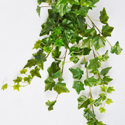 Ivy Bush- green - artificial plants, flowers & trees - image 2