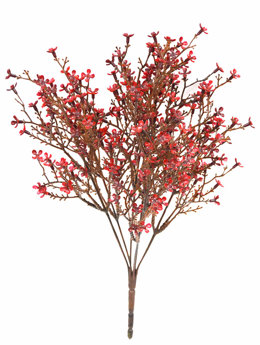 Jasmine Bush- red [UV-treated]