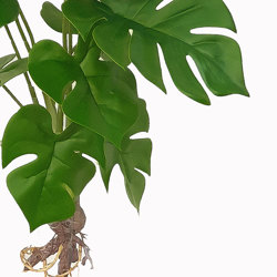 Bushes...sml trailers- Mini-Monstera Plant - artificial plants, flowers & trees - image 1