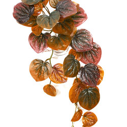 Bushes..sml trailer- Peperomia Plant - artificial plants, flowers & trees - image 2