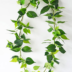 Trailing Vines - 1.8m Philo Garland [philodendron] - artificial plants, flowers & trees - image 10