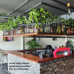 Trailing Vines - 1.8m Pothos Garland - artificial plants, flowers & trees - image 10