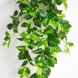 Trailing Bush- lge Pothos - artificial plants, flowers & trees - image 1