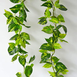 Trailing Vines - 1.8m Philo Garland [philodendron] - artificial plants, flowers & trees - image 9