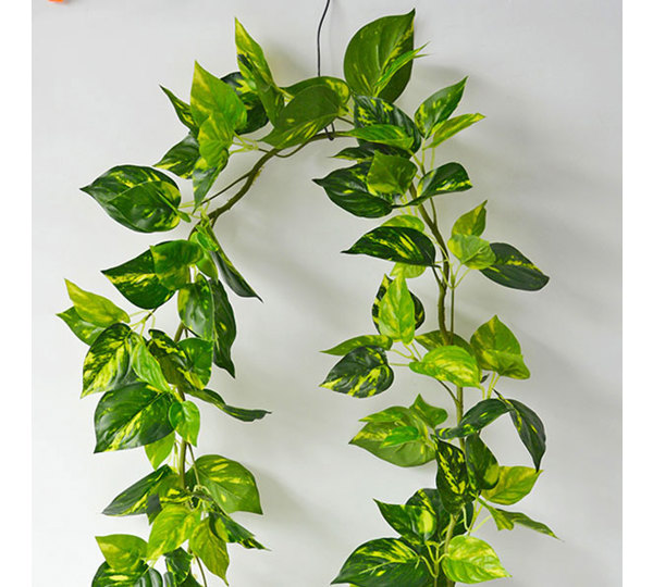 Trailing Vines - 1.8m Pothos Garland