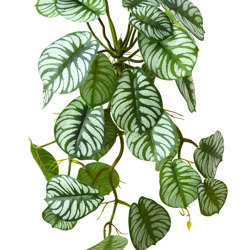 Bushes...sml trailers- Maranta 'silver-prayer' Plant - artificial plants, flowers & trees - image 2