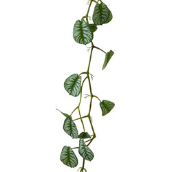 Trailing Vine- 1.75m Maranta 'silver-prayer' - artificial plants, flowers & trees - image 4