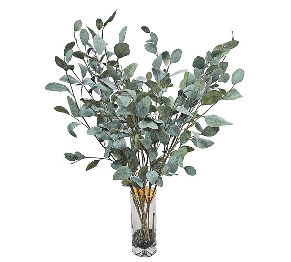 Leaf Sprays- Silver Gums
