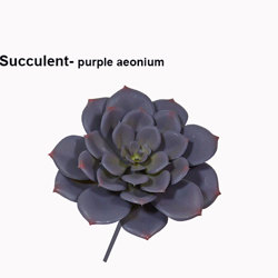 Succulent- Purple Echeveria - artificial plants, flowers & trees - image 4