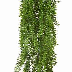 UV-Trailer: Trailing Succulent Fern 70cm  - artificial plants, flowers & trees - image 9