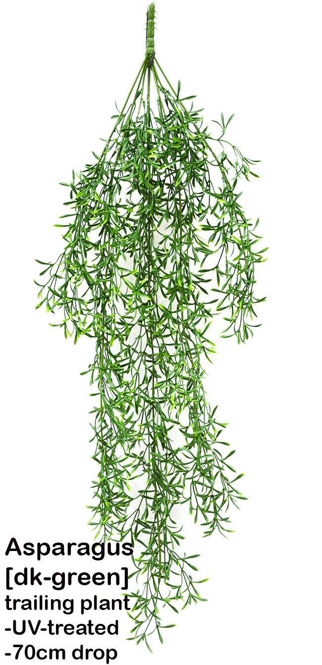 UV-Trailer: Coral Fern 70cm x 12 pce