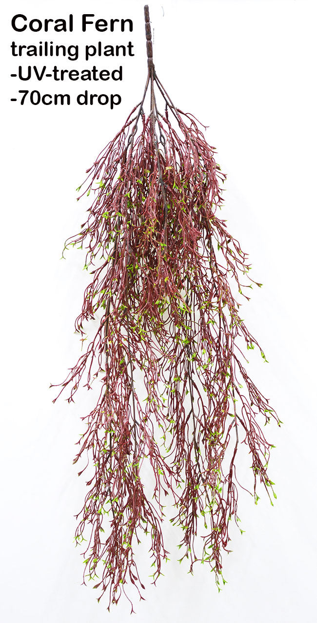 UV-Trailer: Coral Fern 70cm