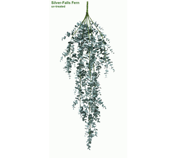 UV-Trailer: 'Silver Falls' Fern 70cm