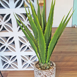 Yucca- variegated 1m - artificial plants, flowers & trees - image 2