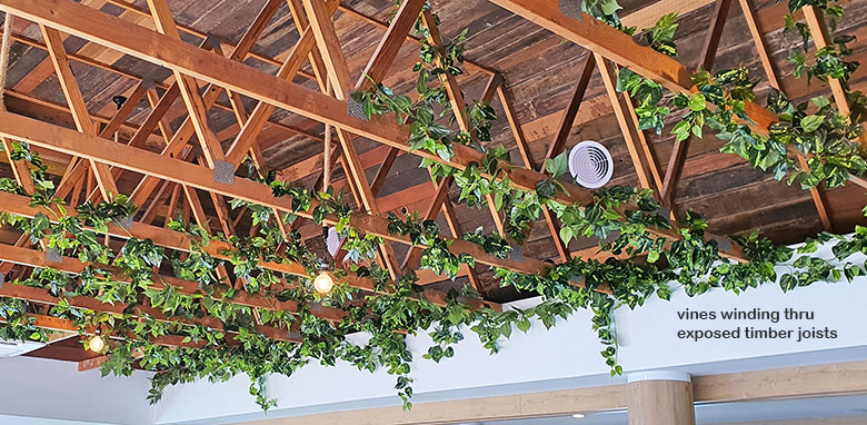 Trailing Vines - 1.8m Philo Garland [philodendron]