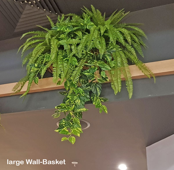 Fish-bone Ferns [large]