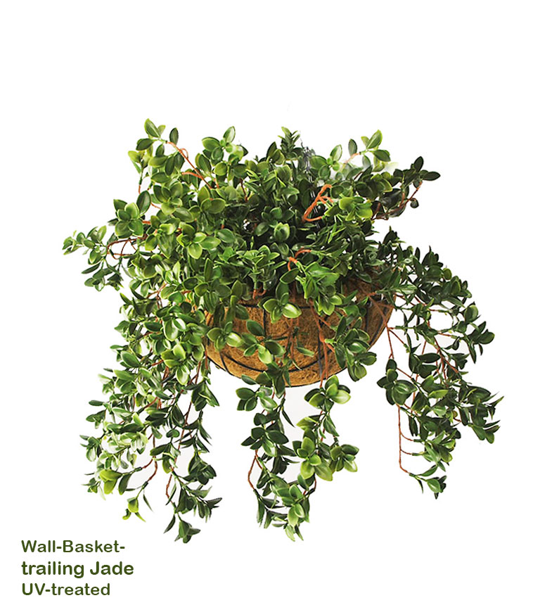 Wall-Baskets Jade UV- sml