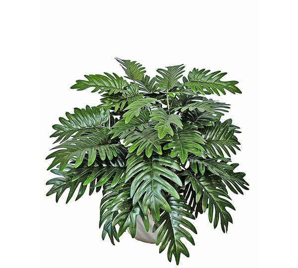 Greenery Bowls- Xanadus