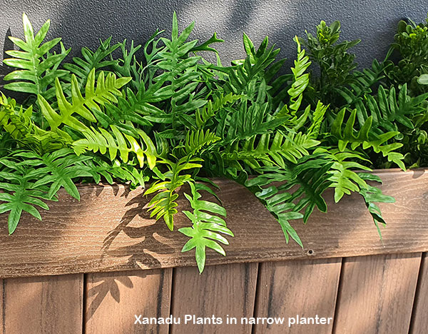 Xanadu Bush UV-treated