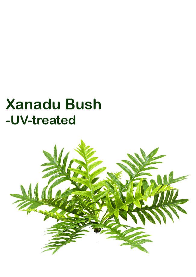 Xanadu Bush UV-treated