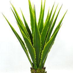 Yucca- variegated 1m - artificial plants, flowers & trees - image 8