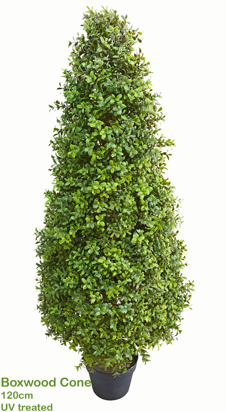 Boxwood Cone 120cm UV