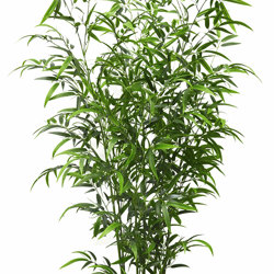 Bali Bamboo 1.8m - artificial plants, flowers & trees - image 4