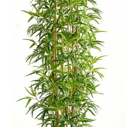 Bamboo 'thai gold' 1.8m - artificial plants, flowers & trees - image 4