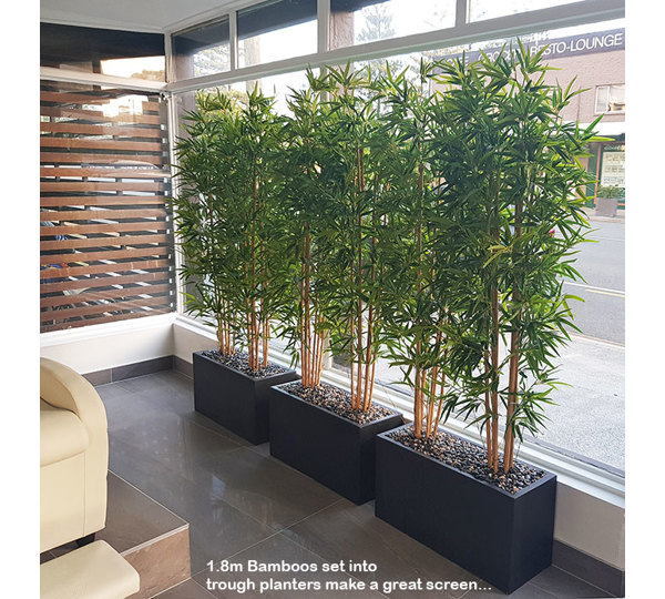 Trough Planters- with Bamboos 1.6m tall