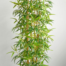 Bamboo 'thai monsoon' 1.8m - artificial plants, flowers & trees - image 3