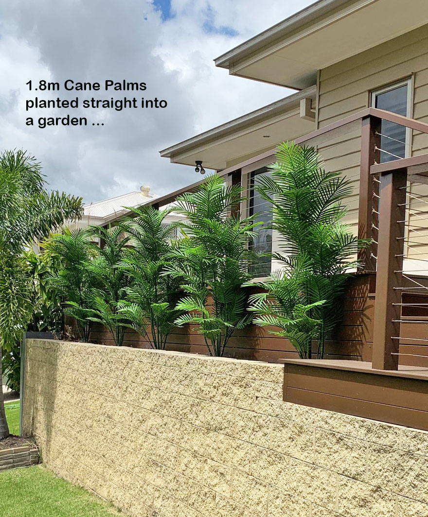 Cane Palm 1.8m deluxe*     UV-stable *extra bushy