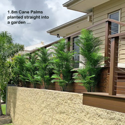 Cane Palm 1.8m deluxe*     UV-stable *extra bushy - artificial plants, flowers & trees - image 6