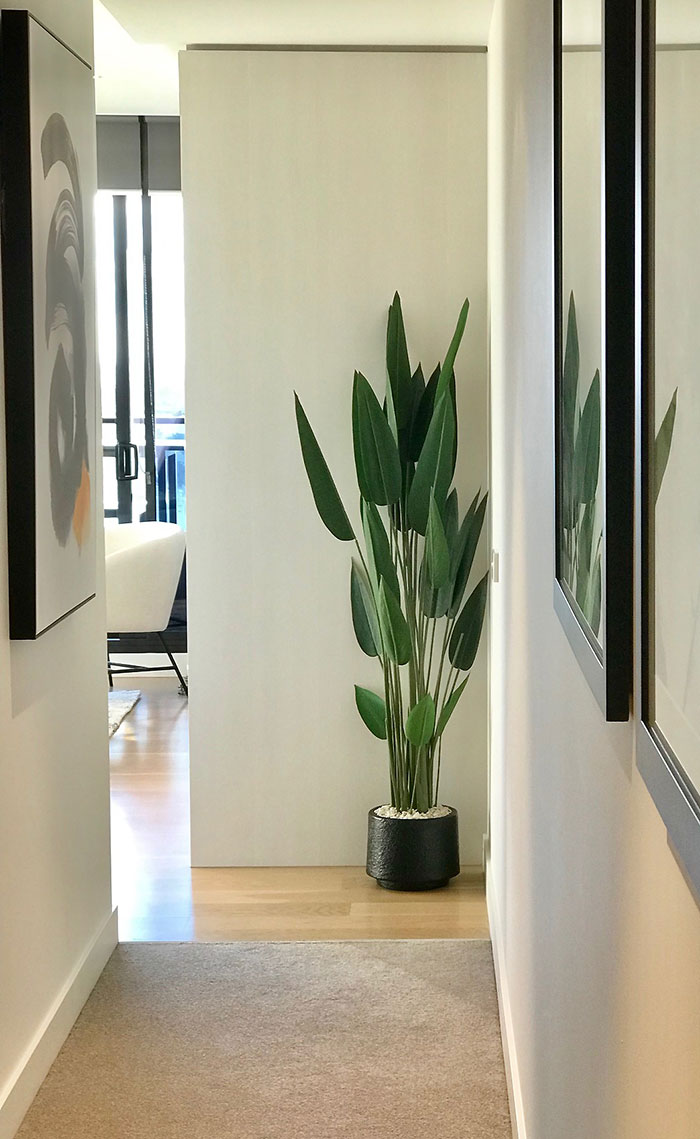 Bird of Paradise Plant 1.4m
