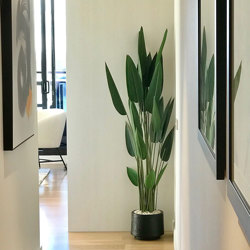 Bird of Paradise Plant 1.4m - artificial plants, flowers & trees - image 1