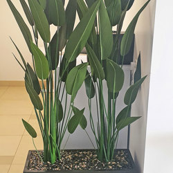 Trough Planters- with Bird-o-Paradise 1.5m tall   - artificial plants, flowers & trees - image 4