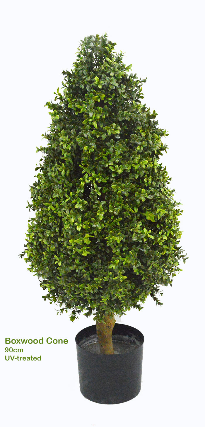 Boxwood Cone 90cm UV