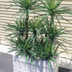 Button Palm 1.5m x 4 heads - artificial plants, flowers & trees - image 3
