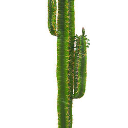 Cactii- Arizona Cactus 1.6m - artificial plants, flowers & trees - image 4