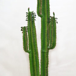 Cactii- Arizona Cactus 2m double-stem  - artificial plants, flowers & trees - image 3