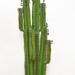 Cactii- Arizona Cactus 2m triple-stem - artificial plants, flowers & trees - image 7