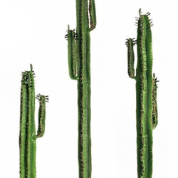 Cactii- Arizona Cactus 1.6m - artificial plants, flowers & trees - image 3