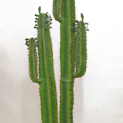 Cactii- Arizona Cactus 1.6m dbl-stem - artificial plants, flowers & trees - image 3
