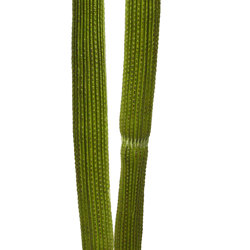 Cactii- Column Cactus triple-trunk 1.5m - artificial plants, flowers & trees - image 6