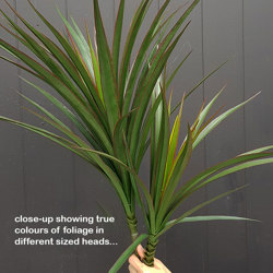 Dracaena- mini-yucca 1.2m with 4 heads - artificial plants, flowers & trees - image 1