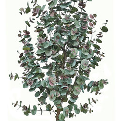 Eucalyptus 'Sweet Gum' 1.8m - artificial plants, flowers & trees - image 2