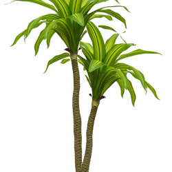 Happy Plant 1.5m double - artificial plants, flowers & trees - image 7